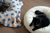 Sunny Poppy Pudding Bed