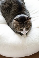 Ocatnip Sourdough Pudding Bed – 24″ round cream faux-fur bolster cat bed with center dip