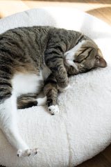 Marshmallow Pudding Bed
