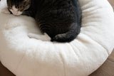 Sourdough Pudding Bed