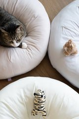 Milk Tea Pudding Bed