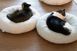 Pistachio Pudding Bed