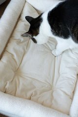 Dubu Bed