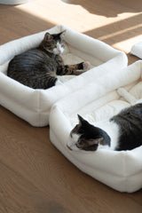 Dubu Bed