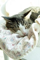 Something Blue Blanket