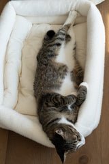 Dubu Bed