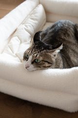 Dubu Bed