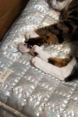 Supernova Ravioli Bed