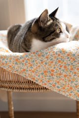 Sunset Sorbet Blanket