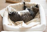 Sunset Sorbet Blanket