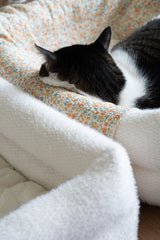 Dubu Bed