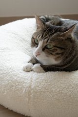 Top-down view of tabby cat curled inside the center dip of Ocatnip’s Marshmallow Pudding Bed