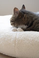 Side view of tabby cat curled inside the center dip of Ocatnip’s Marshmallow Pudding Bed