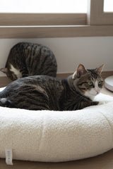 Side view of tabby cat curled inside the center dip of Ocatnip’s Marshmallow Pudding Bed