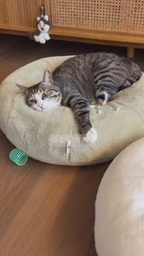 Matcha Pudding Bed