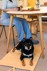 Lemon Roll-Up Bed