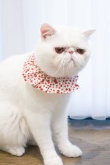 Strawberry Shortcake Bib