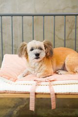 Peach Roll-Up Bed