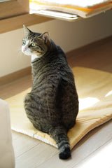 Lemon Roll-Up Bed