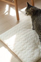 Heart Pastry Bed