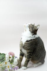 Bridgerton Puff Collar
