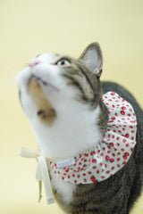 Strawberry Shortcake Bib