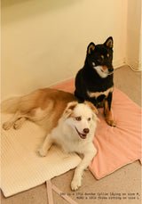 Peach Roll-Up Bed