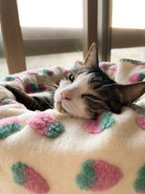 Strawberry Puff Blanket